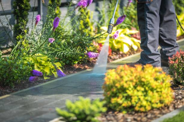 Best Sidewalk and Walkway Pressure Cleaning in Amity Gardens, PA