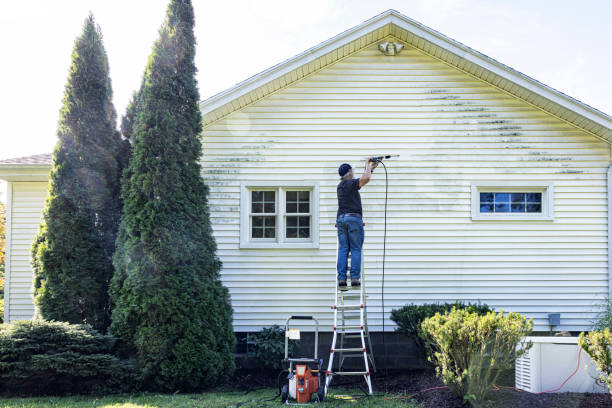 Best Driveway Cleaning and Restoration in Amity Gardens, PA